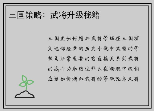 三国策略：武将升级秘籍